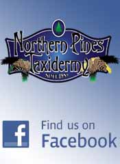 Northern Pines Taxidermy Facebook